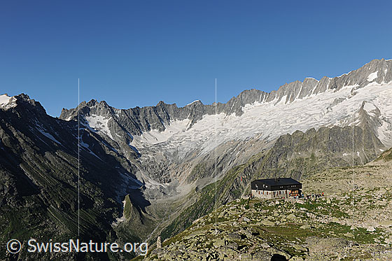 Foto: Bergseehütte vor Dammagletscher und dem Bergpanorama mit den Gipfeln
Winterstock - Gletschhorn - Galenstock - Tiefenstock - Rhonestock - Dammastock
Gletscher: Winteregfirn - Dammagletscher.