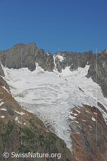 Foto: Maasplanggstock und Maasplanggfirn.
Gipfel und Übergänge: Südliches Maasplanggjoch - Maasplanggstock - Nördliches Maasplanggjoch - Hinter Tierberg
Gletscher: Maasplanggfirn mit abgeflachter Gletscherzunge