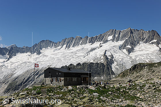 Foto: Dammastockmassiv und Bergseehütte (SAC Hütte). 
Gipfel: Tiefenstock, Rhonestock, Dammastock, Schneestock, Eggstock.
Gletscher: Dammagletscher und Rotfirn.