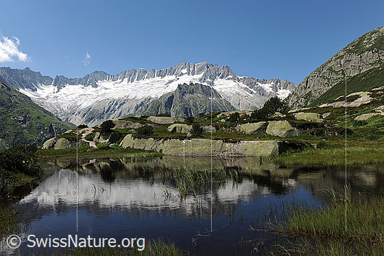 Foto: Dammagletscher mit Spiegelung im blauen Wasser eines kleinen Bergsees. Das Ufer und die Umgebung sind grün und mit Felspartien durchsetzt.