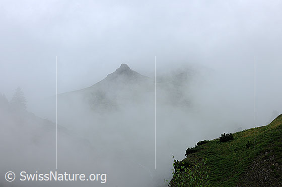Foto: Nebel im Gebirge. Ein Berggipfel ist in der geheimnisvollen Nebelstimmung erkennbar.