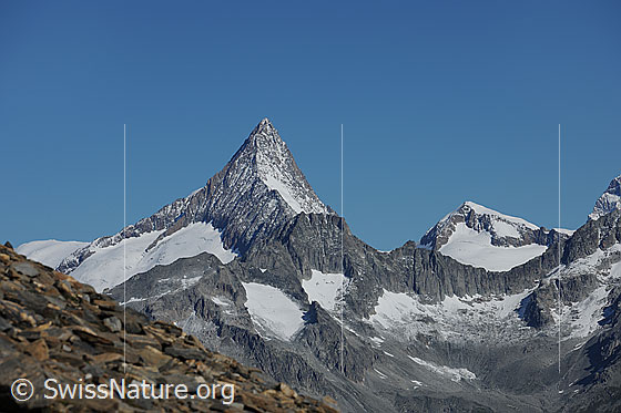 Foto: Finsteraarhorn und Studerhorn. Vorgelagert sind das Wasenhorn und der Hangendgletscher zu sehen.