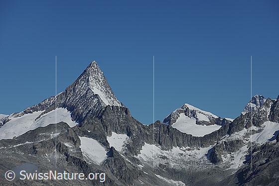 Foto: Finsteraarhorn und Studerhorn. Vorgelagert sind das Wasenhorn und der Hangendgletscher zu sehen.