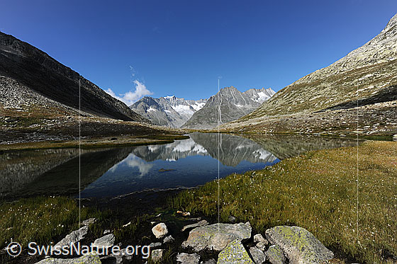 Foto: Spiegelung der Berge im See. Kleiner, spiegelnder Bergsee in der Aletschregion. Am Ufer sind Steine und Gras zu sehen.
Gipfel: Zenbächenhorn, Geisshorn, Olmenhorn und Dreieckhorn.