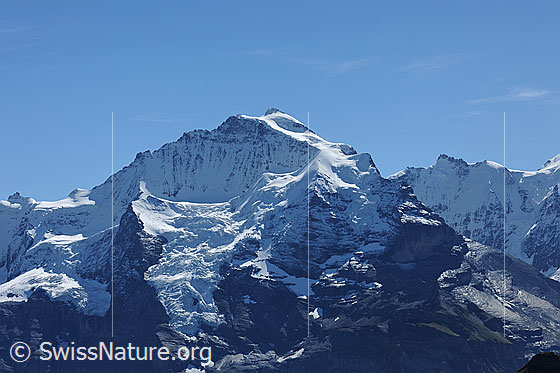 Foto: Jungfrau, Silberhorn und Gletscherhorn.
Gletscher: Guggigletscher, Giesengletscher und Silberhorngletscher.