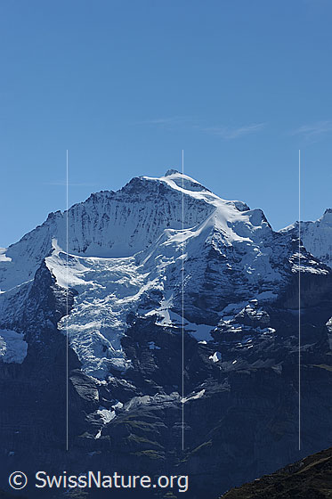 Foto: Jungfrau mit Guggigletscher, Silberhorn und Silberhorngletscher.