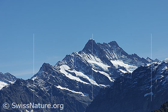 Foto: Schreckhorn und Lauteraarhorn von der Sulegg.