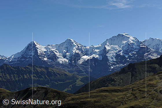 Foto: Eiger, Mönch und Jungfrau. Links vorgelagert ist der Voralpengipfel des Tschuggen zu sehen. Vordergrund: Alpweiden.
Gletscher: Eigergletscher, Guggigletscher, Giesengletscher, Silberhorngletscher