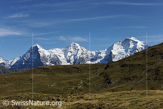 Foto: Dreigestirn Eiger, Mönch und Jungfrau im Herbst.
Vordergrund: Alpweide.