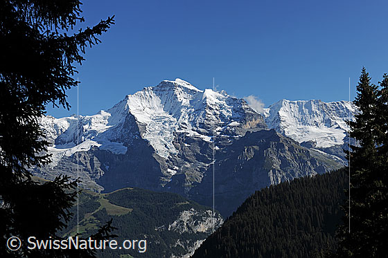Foto: Jungfrau und Silberhorn.
Gletscher: Guggigletscher, Giesengletscher und Silberhorngletscher.