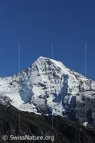 Foto: Mönch Nordwand und Nollen.
Gletscher: Eigergletscher