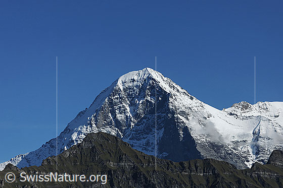Foto: Eiger mit Blick in die Nordwand.
Davor der Tschuggen.