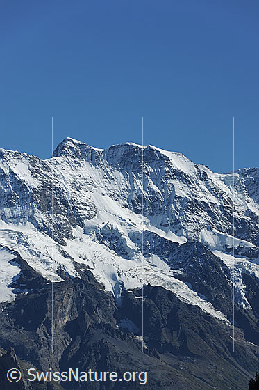 Foto: Mittaghorn (Jungfrauregion).
Blick in die Nordwand mit Breitlouwenengletscher.