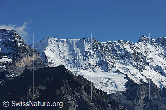 Foto: Schwarz Mönch, Ebnefluh und Mittaghorn.
Gletscher: Stuefesteiglescher und Breitlouwenengletscher