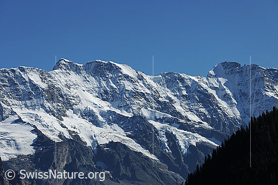 Foto: Mittaghorn und Grosshorn (Nordwände).
Gletscher: Breitlouwenengletscher und Vordre Schmadrigletscher