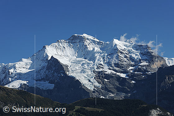 Foto: Jungfrau und Silberhorn.
Gletscher: Guggigletscher, Giesengletscher und Silberhorngletscher.
