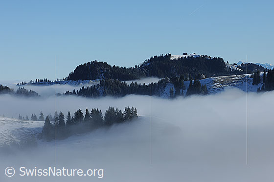 Foto: Nebelstimmung am Napf im Emmental.
Höher gelegene Hügel und Wälder des Emmentals ragen aus einem Nebelmeer. An der Nebelgrenze streifen Nebelschwaden durch Tannengruppen und über Kreten.