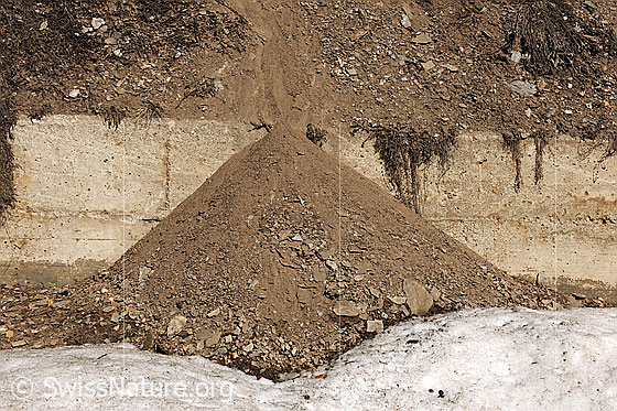 Foto: Kleiner Erosionskegel neben Stützmauer.