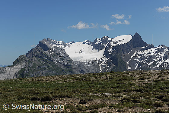 Foto: Glärnisch von WSW (Silberen).
Gipfel im Glärnischmassiv: Ruchen, Vrenelisgärtli und Bächistock
Gletscher: Glärnischfirn