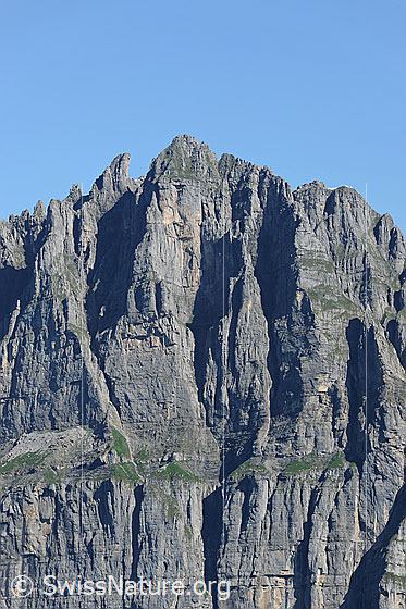 Foto: Jegerstöck.
Gestufte Felswand mit Grasbändern und Pfeilern.