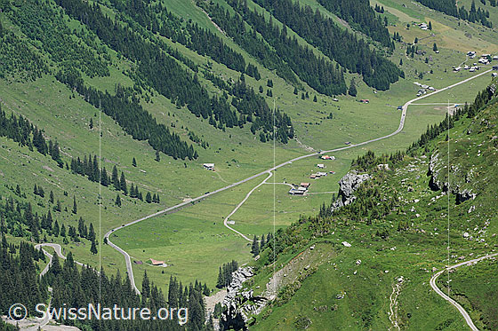 Foto: Urnerboden.
Tiefblick in den grünen Talboden mit Alphütten und Weideland.