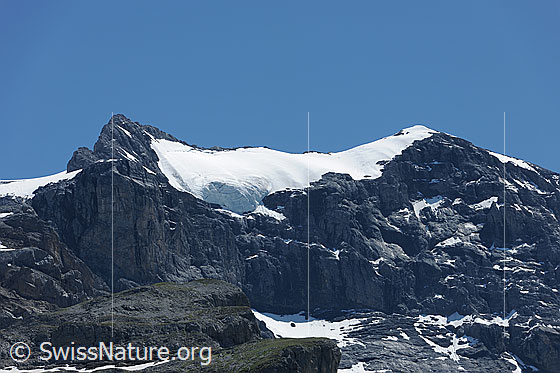 Foto: Chammliberg und Chammlibergfirn.
Das Gletscher liegt über den Felswänden und gestuften Felsen des Chammlibergs.
