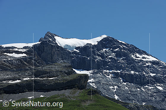 Foto: Chammliberg und Chammlibergfirn.
Das Gletscher liegt über den Felswänden und Felsstufen des Chammlibergs.