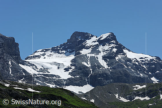 Foto: Chli und Gross Schärhorn
Gletscher: Griessfirn