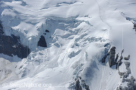 Foto: Triftgletscher mit Abbruch und Spur der Alpninisten.
Der abbruchgefährdete Bereich liegt links des markanten dreieckigen Lochs im linken Bildteil.

.