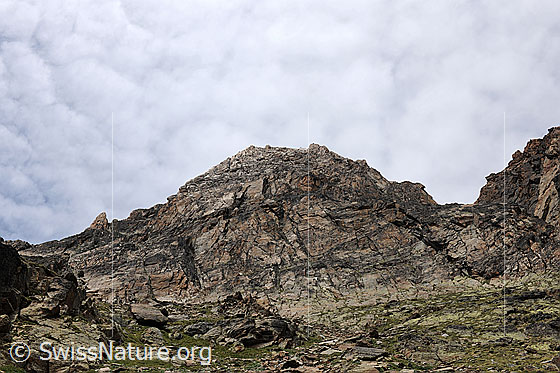Foto: Jegihorn von Süden.
Blick in die Felswand des Kletterbergs.
Der Himmel ist mit Föhnwolken bedeckt.