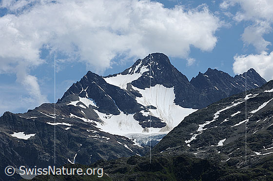 Foto: Gross Griessenhorn, Stucklistock, Fleckistock und Tschingelfirn. Über den Berggipfeln sind lockere Quellwolken zu sehen.