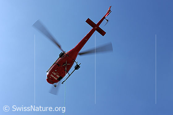 Foto: Schwebender Helikopter mit Seil. Ansicht von unten.