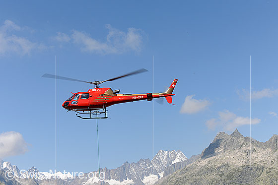 Foto: Helikopter im Einsatz für die Sanierung eines Bergwegs.