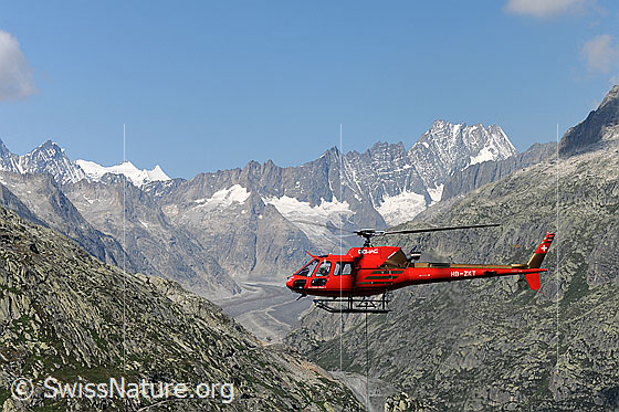 Foto: Helikopter im Einsatz im Gebirge.