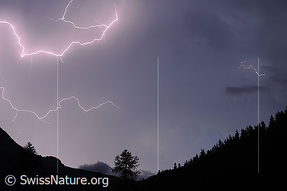 Foto: Gewitter in der Nacht. Blitze erleuchten den Nachthimmel.