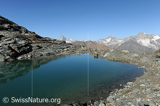 Foto: Alphubelsee und Matterhorn. 
Bergkette zwischen blauer Wasserfläche und wolkenlos blauem Himmel.