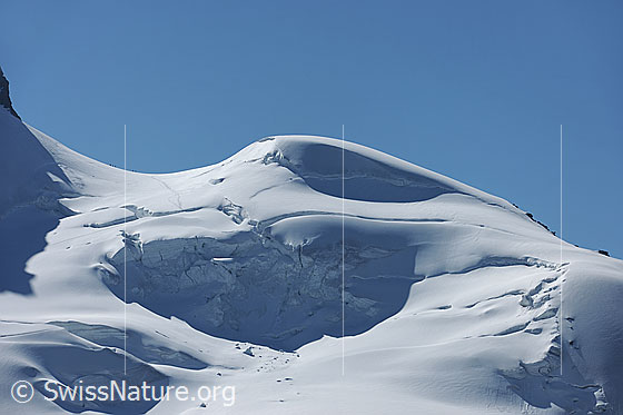 Foto: Rimpfischsattel und Mellichgletscher. 
Geschwungene, weisse Geländeformen im Licht und ein Gletscherabbruch im Schatten.