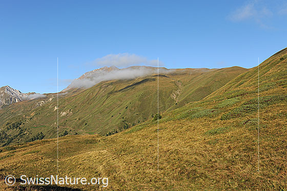 Foto: Blick von oberhalb Saflischmatta Richtung Bättlihorn.
Im Bereich der Nebelschwade wird das westliche Feld von Grengiols Solar gebaut.