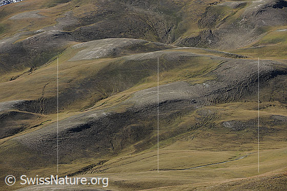 Foto: Herbstliche Alp Furggerchäller.
Ca. im unteren Bildviertel wird das östliche Feld von Grengiols Solar gebaut.