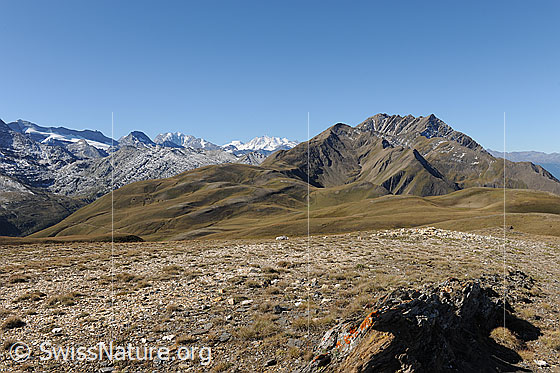 Foto: Vom Breithorn Richtung Mischabel und Bättlihorn.
Der Perimeter des östlichen Feldes von Grengiols Solar reicht bis mindestens zum herbstlich gefärbten Rücken links im Vordergrund.