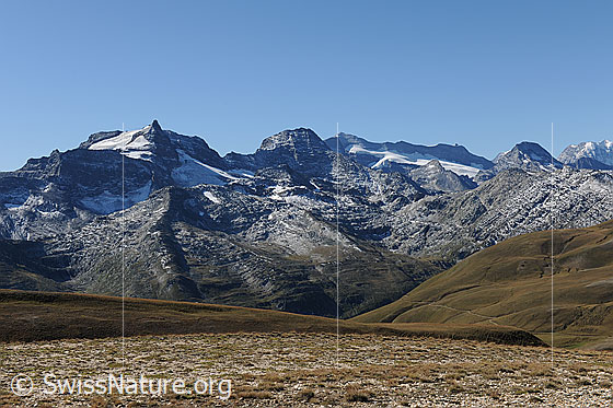 Foto: Vom Breithorn Richtung Hillehorn, Bortelhorn und Monte Leone.
Der Perimeter des östlichen Feldes von Grengiols Solar reicht bis mindestens zum herbstlich gefärbten Rücken im Vordergrund.