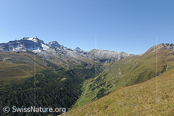 Foto: Blick über das Saflischtal Richtung Saflischpass.
Zu sehen ist u.a. die Alpstrasse zur Alp Furggerchäller.
Vermutlich werden in diese Alpstrasse die Stromkabel verlegt, durch welche die von Grengiols Solar erzeugte Energie nach Heiligkreuz abgeleitet wird.