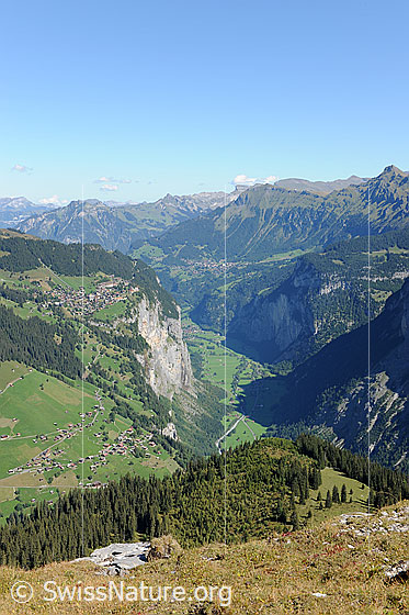 Foto: U-Tal. Lauterbrunnental mit Gimmelwald, Mürren und Wengen. Tiefblick auf die sommerliche Berglandschaft und in den grünen Talboden.