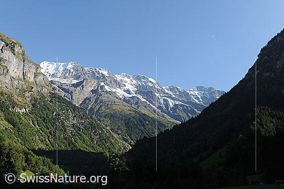 Foto: Abend im Lauterbrunnental mit Licht und Schatten auf der Berglandschaft mit Wäldern und weissen Gipfeln. Gipgel: Äbeni Flue, Mittaghorn und Grosshorn.