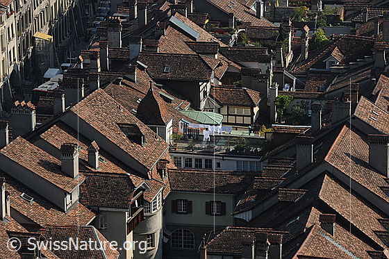 Foto: Blick vom Münster auf die Altstadt (Unterstadt) von Bern.
Diese Häuser wurden zu einer Zeit gebaut, als noch keine oder nur wenige Maschinen zur Verfügung standen.