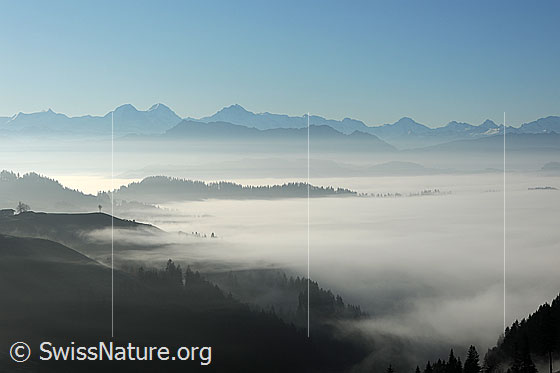 Foto: Nebelstimmung und Nebelmeer zwischen Emmental und Berner Alpenkette.
Vordergrund: Nebelschwaden der Nebelgrenze ziehen sich in die Hügellandschaft.