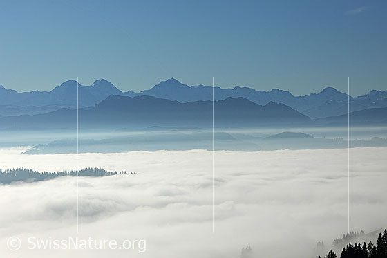 Foto: Berner Alpen und Hohgant mit Nebelmeer im Vordergrund. 
Feine Abstufung der Alpenkette zur Bergkette der Voralpen und der Hügellandschaft des Emmentals.