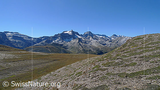 Foto: Blick vom Kamm des Breithorns Richtung Hillehorn.
Vermutlich werden auf der Fläche im Vordergrund ca. 6-8 Meter hohe Solartische des östlichen Feldes von Grengiols Solar montiert.