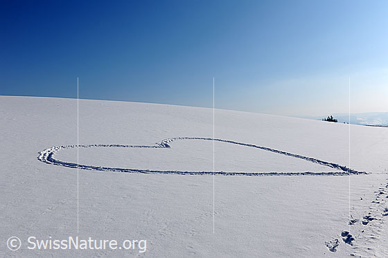 Foto: Schneeherz. Ein grosses Herz wurde in die Schneefläche gezeichnet.
