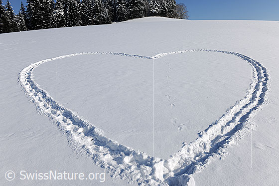 Foto: Herz im Schnee. Jemand hat ein grosses Herz in die Schneedecke getreten.